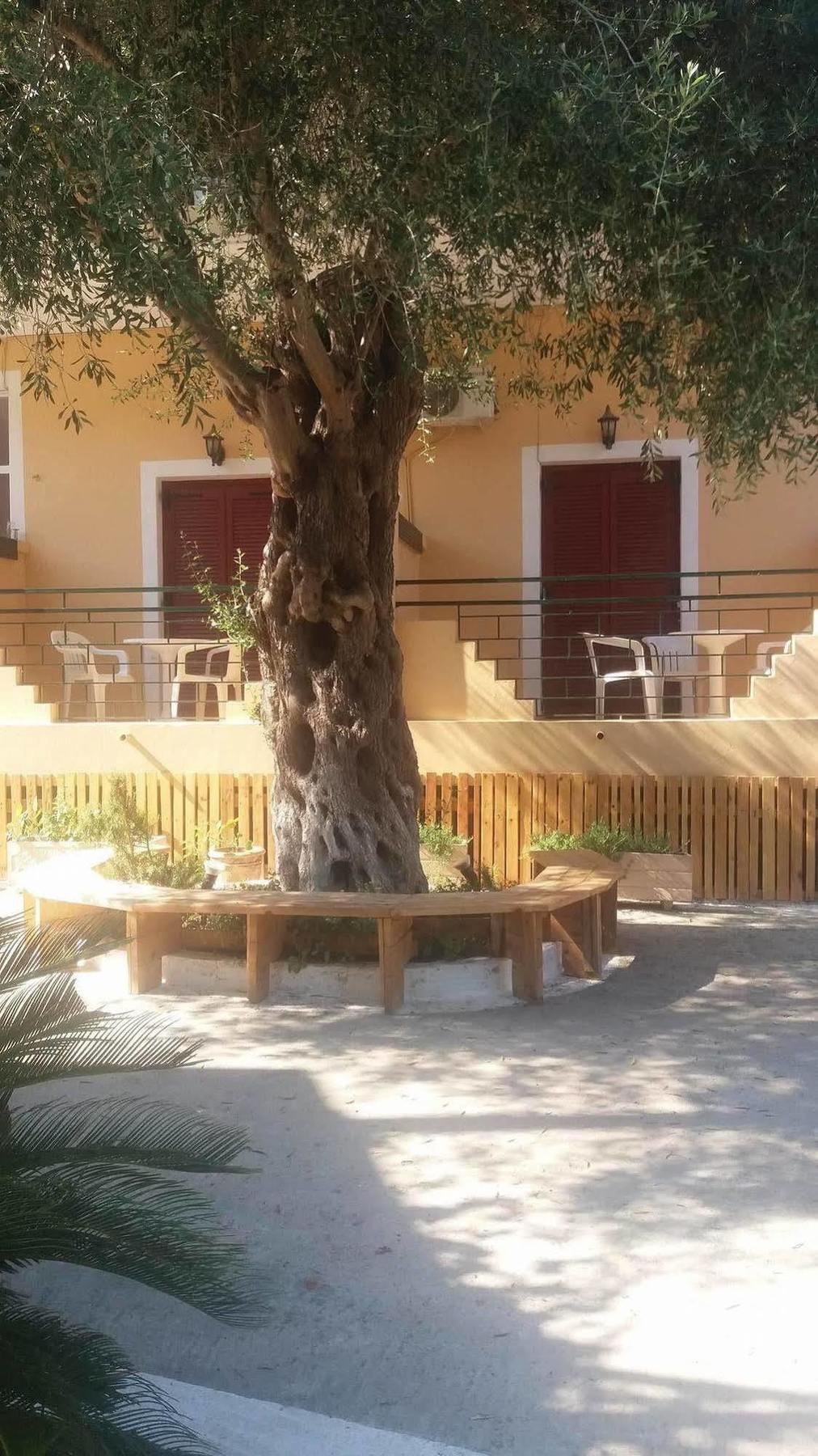 Hotel Wilde Rose Dassia (Corfu)