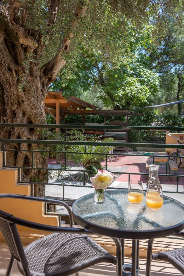 Wilde Rose Dassia (Corfu)