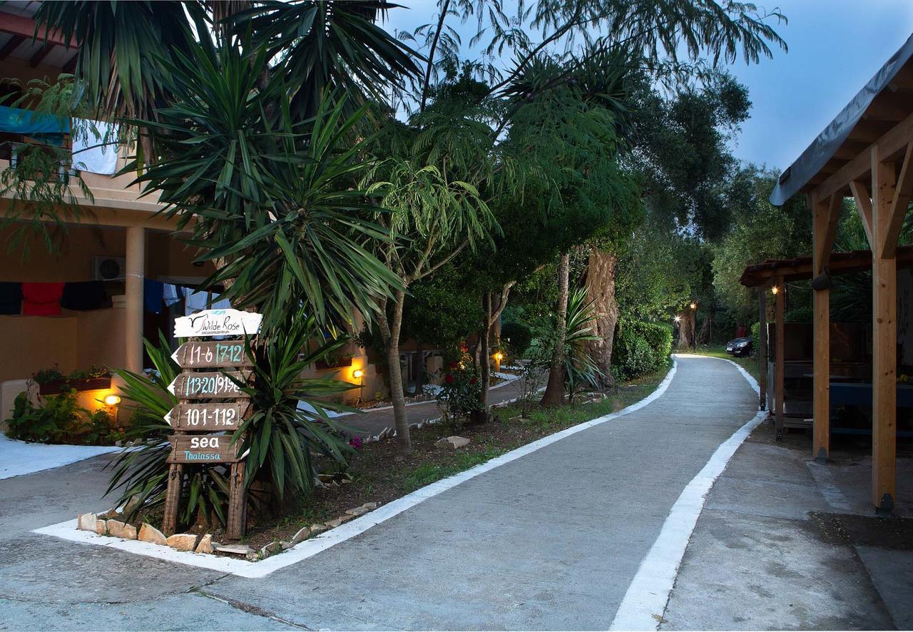 Wilde Rose Dassia (Corfu)