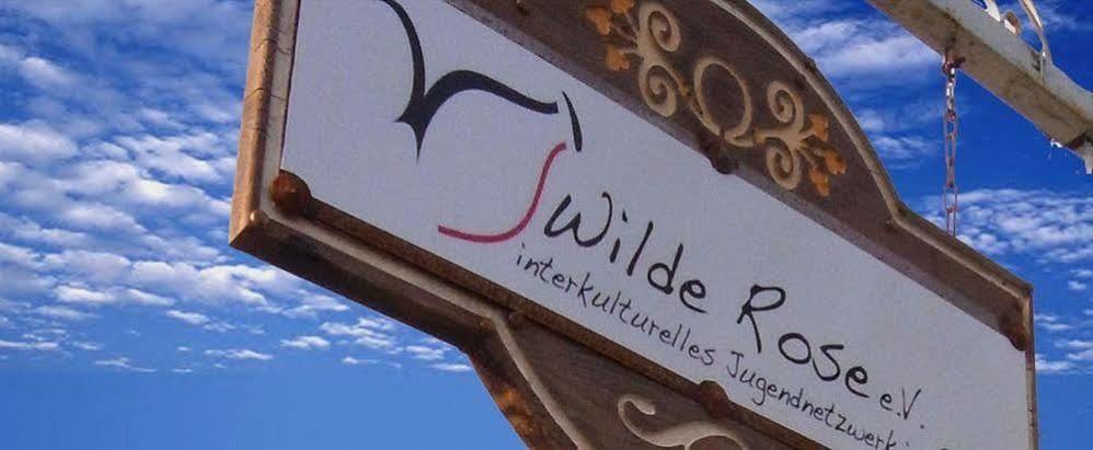Wilde Rose 2*